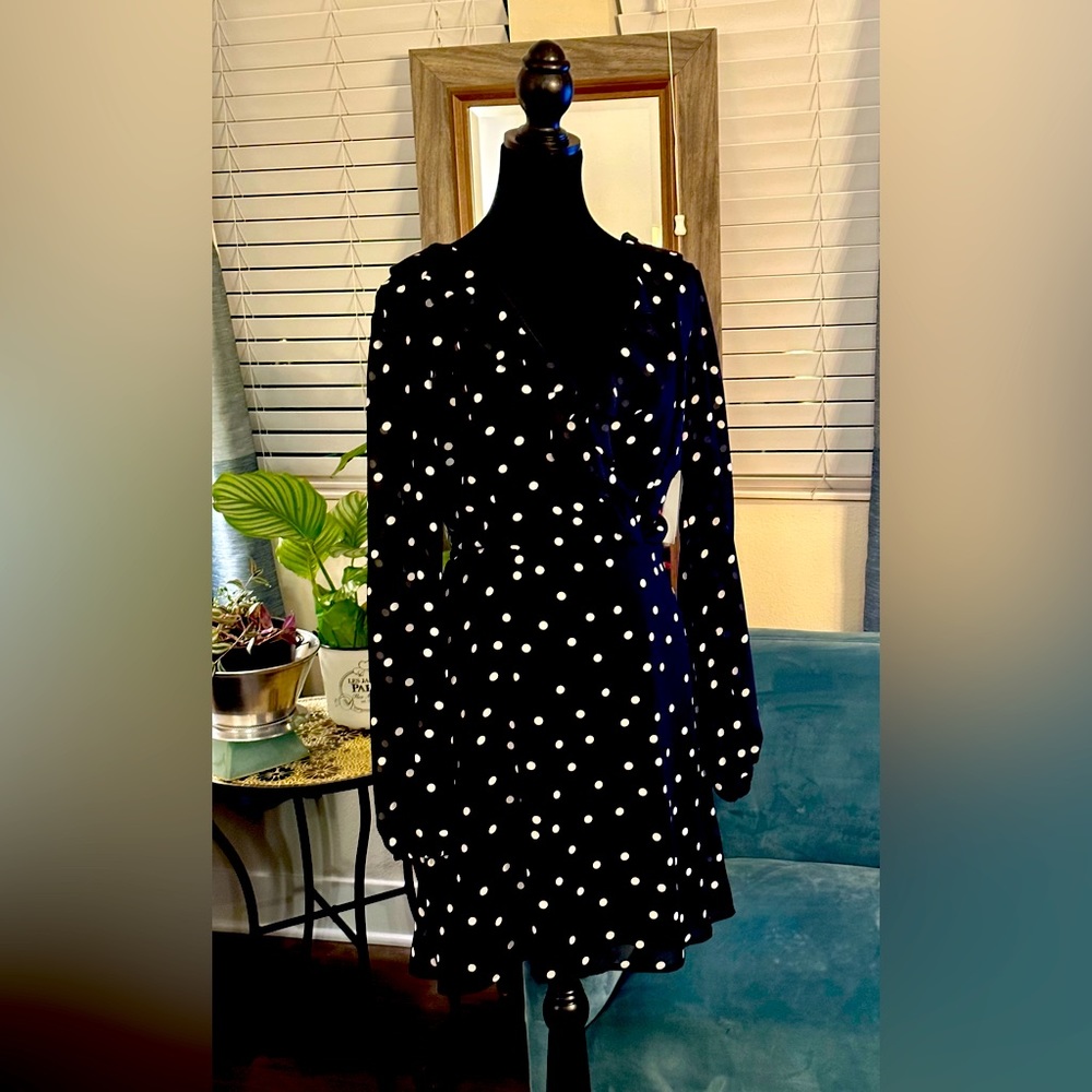 Row A Nordstrom Brand Polka Dot Ruffle Mini Dress w/long sheer sleeves- Classic